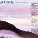 지리산큰나무 이미지