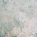 아이엠뷰티의원 이미지