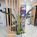 우미뷰티