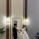 W15. clarte_클라르떼 아이폰스냅 본식후기🫧