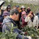 고산농업협동조합 - 완주군 | 고산농업협동조합