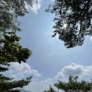 11650-16-8-2 이미지