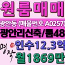 A0257 네이버블로그