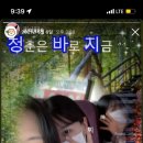 위즈밍
