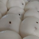 전주한옥마을기정떡