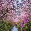 남미륵사 이미지