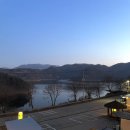 [충북/보은] 탁 트인 대청호 뷰 파인트리~🏡⛺️☀️🏔️