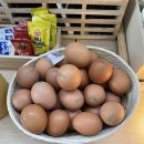 성서매점