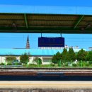 조치원권투체육관 이미지