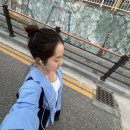 입어줄개 이미지