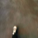 대길초밥 이미지