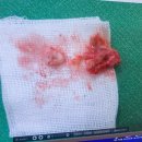 송도유외과의원 이미지