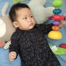 아그얼라 이미지