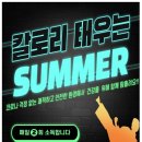용인대 미르 태권도장 이미지