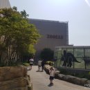 신세계주 이미지