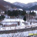 신덕초교 이미지