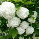 나들목 민박 이미지