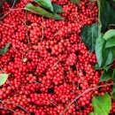 방동 농장2 이미지