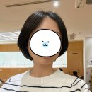 더 머리잘하는집
