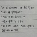 송호수 카카오 검색결과