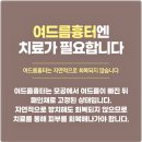 춘천하나약국 이미지