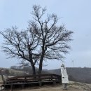 리솜한방병원 | 속초/고성 여행,소노캄 델피노