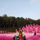 나드리의원 이미지