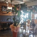 카페유나 이미지