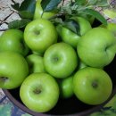 낙성농장 이미지