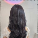 제오헤어쌍문점 | 전문성을 강조하는 보다봄헤어 쌍문점 쌍문역 미용실