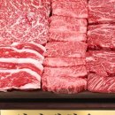 양지-2860 이미지