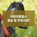 하이그린팜(주) | 어린이 흑염소진액 성장기 건강하게 챙기세요