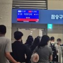 해리약국 | [신혼여행]에티하드항공 아부다비 환승방법, 엑스트라레그룸, 기내식 후기