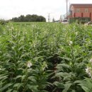 풍성한 은혜농장 이미지