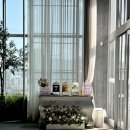 마리교회 | 인천 웨딩홀 스몰웨딩 부평 빌라드마리 투어 후기