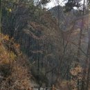 반송동232 이미지