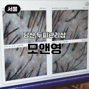 니즈토탈 | 당산 두피관리샵 모앤영 예비신부 두피 정밀진단 토탈케어 솔직 후기
