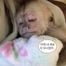 6월 월간일기