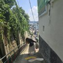 석산슈퍼휴게소 | [목포/진도 쏠비치/여수 여행]니들이 국내여행의 맛을 알아잇-?!
