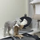 강서구-39 | 강서구 미즈메디 자연분만 후기(전진동, 김소윤 선생님)