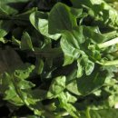 김동렬한의원 이미지