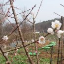 방실농장 이미지