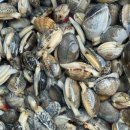 푸른수산 이미지