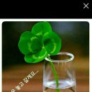 좋은멘토 이미지
