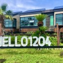 헬로 1204 이미지