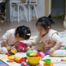 평촌과천짐보리 이미지