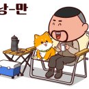 보성오토