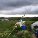 동녁농장 이미지