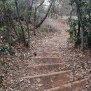 공곶이가는길 이미지