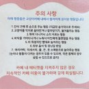 고양이세수 | 아이들과 가기 좋은 발산역 고양이 카페 &#39;고양이별캣카페&#39; 방문 후기